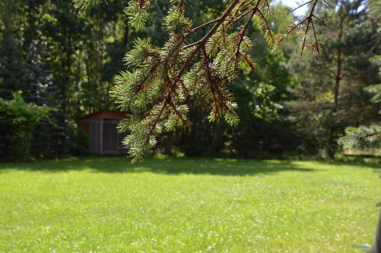 Agroturystyka Czekaj Przy Suntago Lublinow Buitenkant foto
