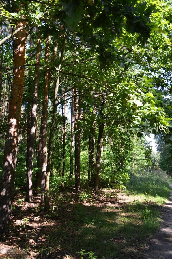 Agroturystyka Czekaj Przy Suntago Lublinow Buitenkant foto