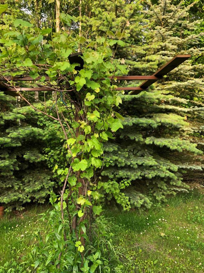 Agroturystyka Czekaj Przy Suntago Lublinow Buitenkant foto